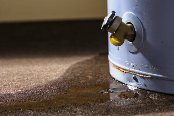  Bithlo, FL Water damage restoration Pros