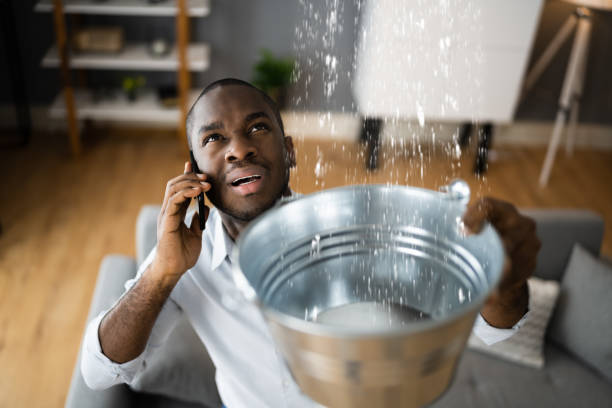  Bithlo, FL Water damage restoration Pros