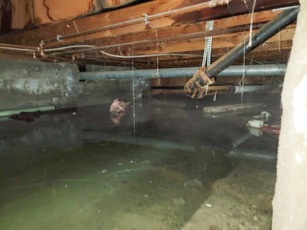 Best Commercial water damage restoration  in Bithlo, FL
