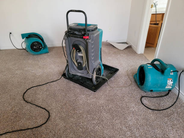 Best Water damage repair service  in Bithlo, FL