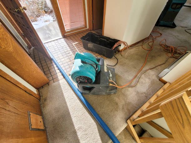 Best Local water damage restoration  in Bithlo, FL