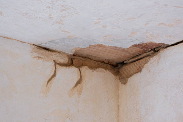 Best Water damage contractors near me  in Bithlo, FL