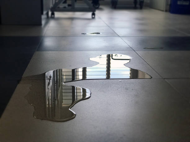 Local water damage restoration in FL