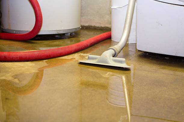 Sewage cleanup and water damage restoration in FL