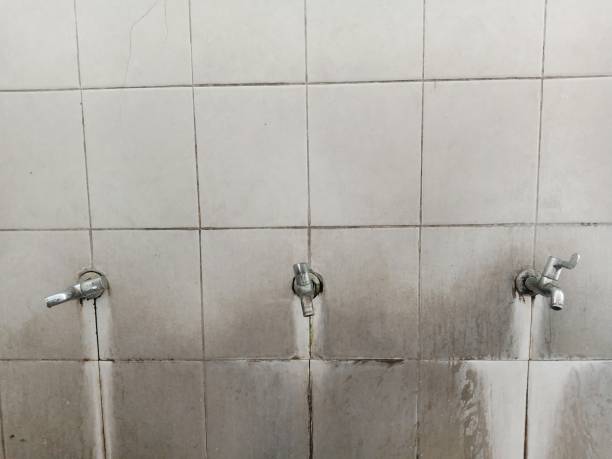 Best Water damage restoration near me  in Bithlo, FL