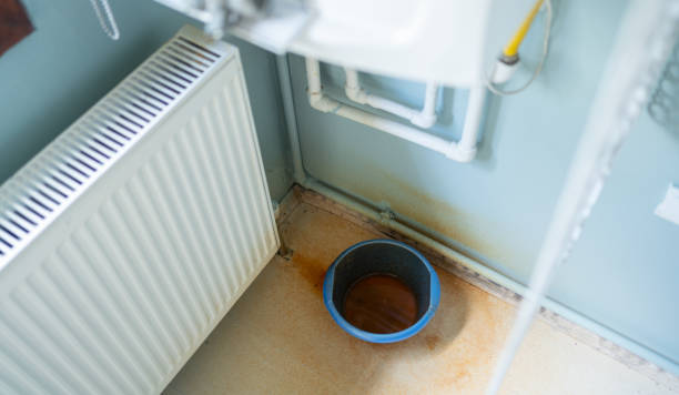 Best Professional water damage repair  in Bithlo, FL