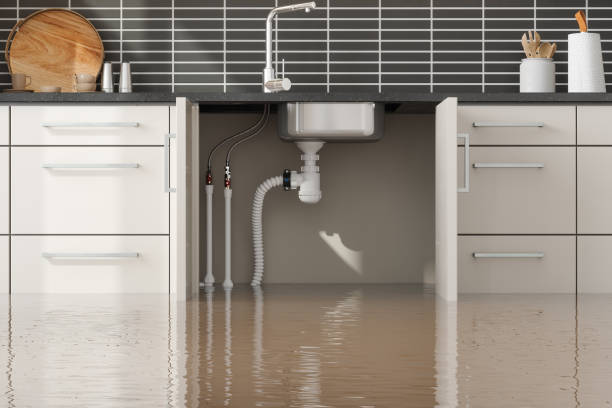 Water damage restoration experts in FL
