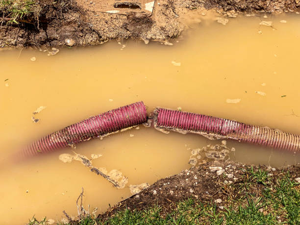 Best 24-hour water damage restoration  in Bithlo, FL