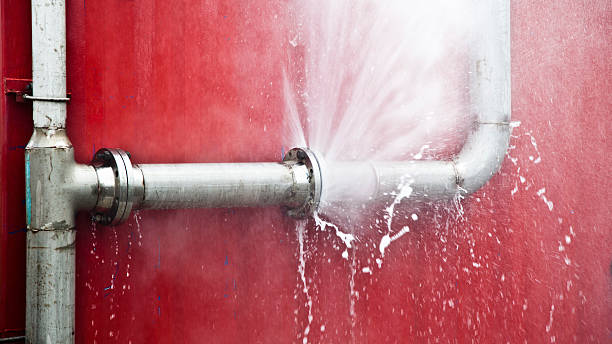 Best Water damage restoration near me  in Bithlo, FL