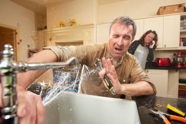 Best Flood restoration services  in Bithlo, FL